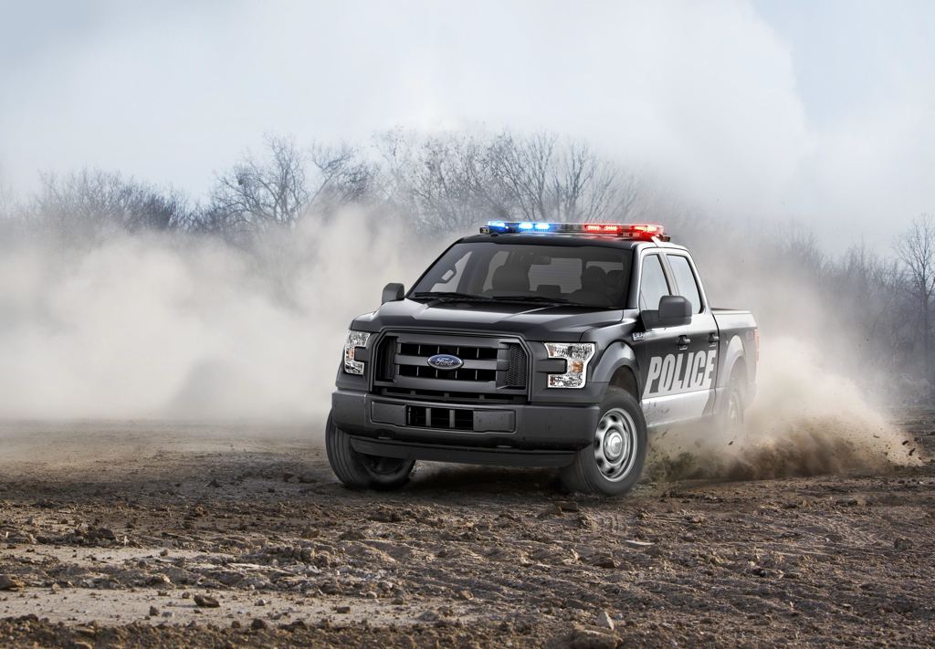 Ford f 150 special service vehicle #9