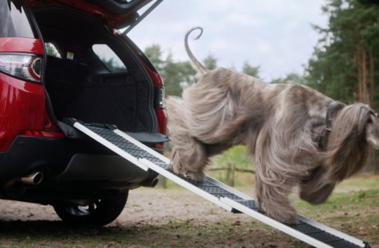 Land Rover Launches Dog Friendly Pet Packs 1 550x360 at Land Rover Launches Dog Friendly Pet Packs